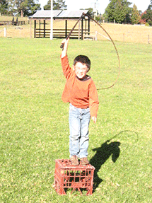 cracking the whip alone
